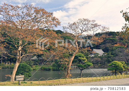 横浜・三渓園 横浜・三渓園 70812583