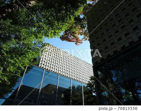 快晴で散歩日和の代官山T-SITE 70813556