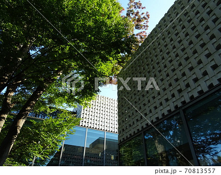 快晴で散歩日和の代官山T-SITE 70813557