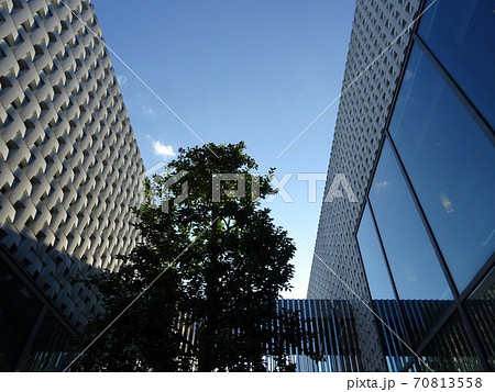 快晴で散歩日和の代官山T-SITE 70813558