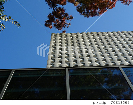 快晴で散歩日和の代官山T-SITE 70813565