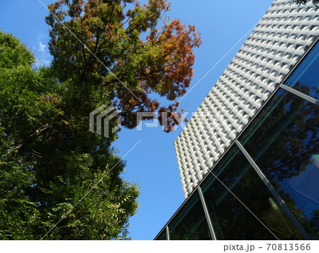 快晴で散歩日和の代官山T-SITE 70813566