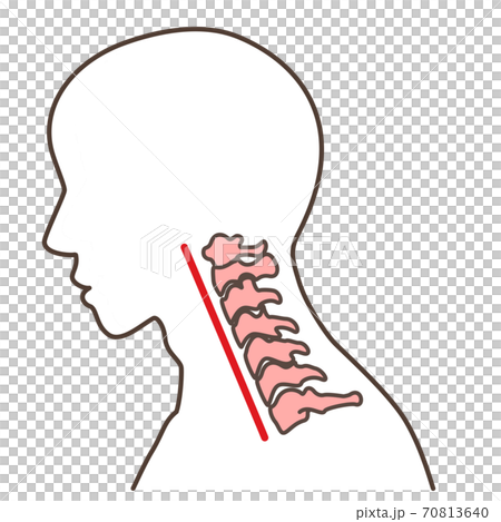 Straight neck smartphone neck, etc. 70813640