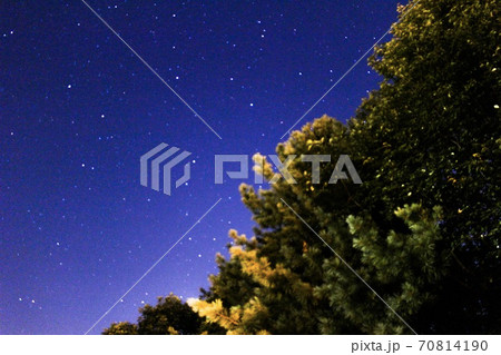 木々と星空 木々と星空 70814190