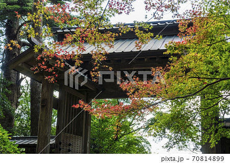 飯高檀林　山門　色づきはじめたもみじ 70814899