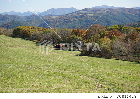 早坂放牧場の秋 70815428