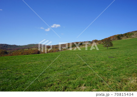 早坂放牧場の秋 70815434