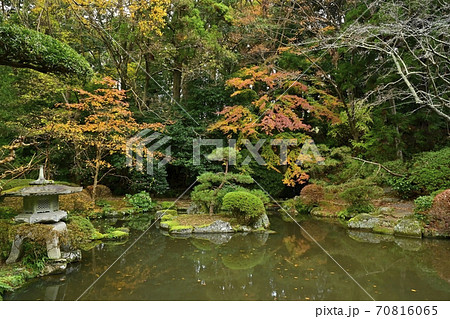 香取神宮の神池に紅葉する木々 70816065