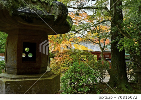 香取神宮の石灯篭と総門に紅葉する木々の写真素材