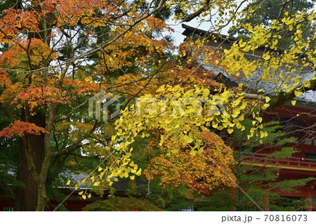 香取神宮の楼門に紅葉する木々 香取神宮の楼門に紅葉する木々 70816073