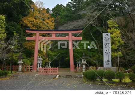 香取神宮の大鳥居に紅葉する木々 70816074