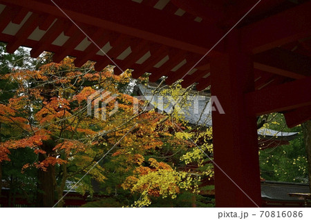 香取神宮の総門に楼門と紅葉する木々の写真素材