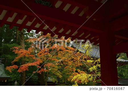 香取神宮の総門に楼門と紅葉する木々の写真素材