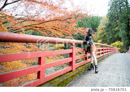美しい日本女性 美しい日本女性 70816701