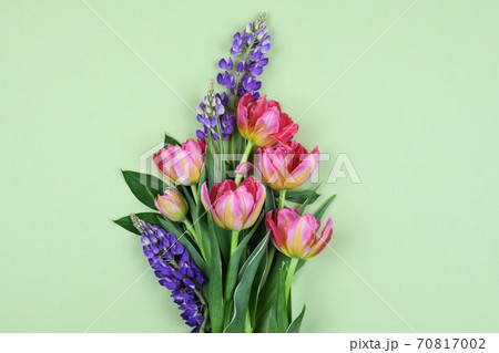 Coral tulip flowers and purple lupines in a beautiful bouquet on green paper Coral tulip flowers and purple lupines in a beautiful bouquet on green paper 70817002
