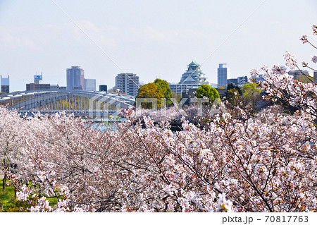 桜景　大川河畔 70817763