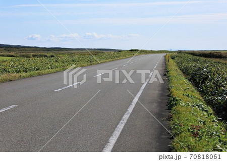サロベツ原野の道(道道106号線) サロベツ原野の道(道道106号線) 70818061