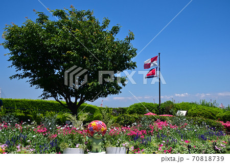 港の見える丘公園-横浜 70818739