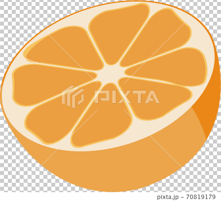 Orange icon illustration 70819179