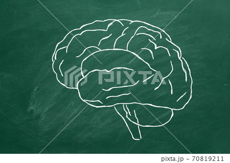 Human brain 70819211