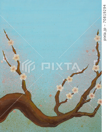 慶事などに使える白梅の花 70819294