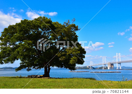 南備讃瀬戸大橋　沙弥島より 70821144