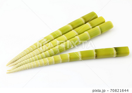 四方竹 70821644