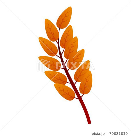 Ash tree autumn leaf icon, cartoon style 70821830