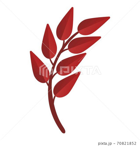 Ash tree leaf icon, cartoon style 70821852
