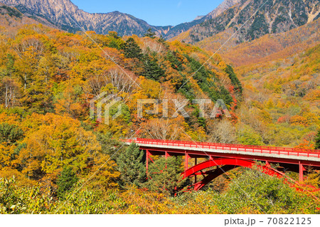 東沢大橋の紅葉　八ヶ岳 70822125