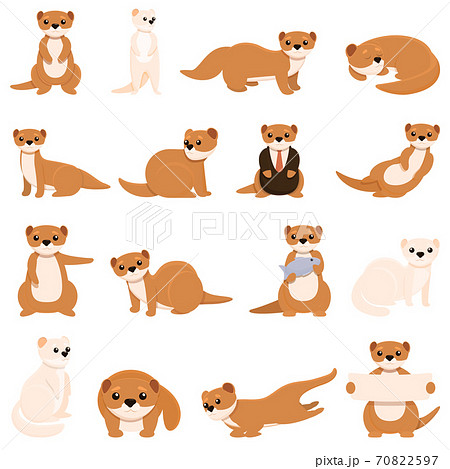 Mink Icons Set Cartoon Styleのイラスト素材