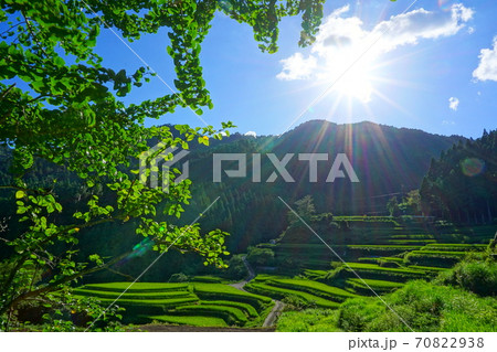 樫原の棚田 70822938