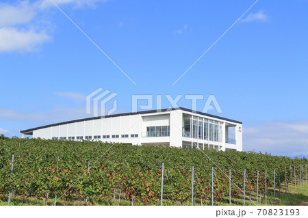 秋の椀子ワイナリーとヴィンヤード 70823193