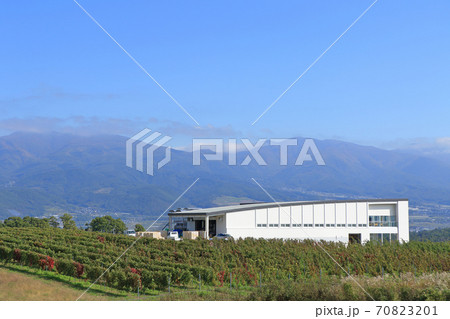 秋の椀子ワイナリーとヴィンヤード 70823201