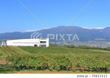 秋の椀子ワイナリーとヴィンヤード 70823315