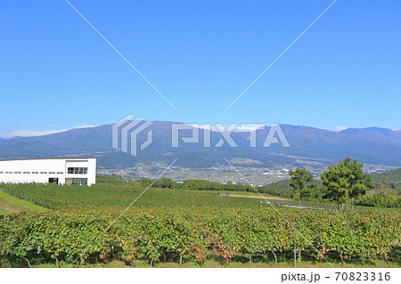 秋の椀子ワイナリーとヴィンヤード 秋の椀子ワイナリーとヴィンヤード 70823316