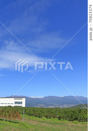 秋の椀子ワイナリーとヴィンヤード 秋の椀子ワイナリーとヴィンヤード 70823374