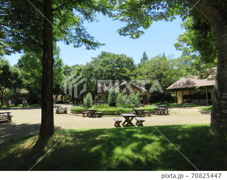 緑豊かな屋外のテーブルと椅子 70825447