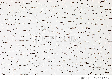 建材　天井板ジプトーン 70825689