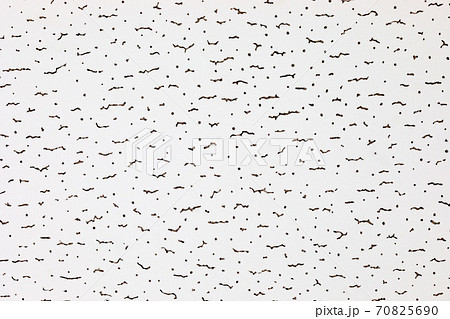 建材　天井板ジプトーン 70825690