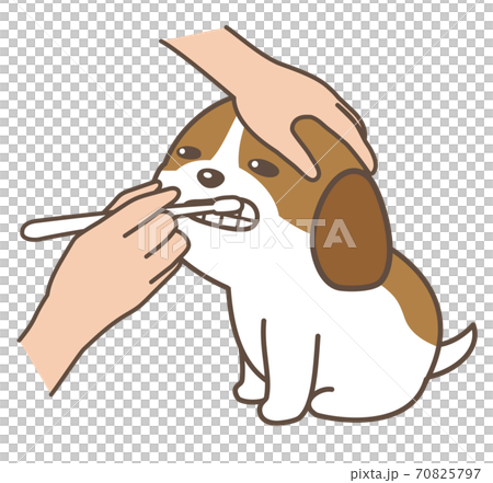 歯を磨いてもらう犬のイラスト素材