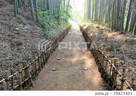 竹林の小径　　　～ひよどり坂～ 70825803
