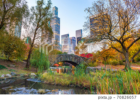 Central Park during autumn in New York City 70826057