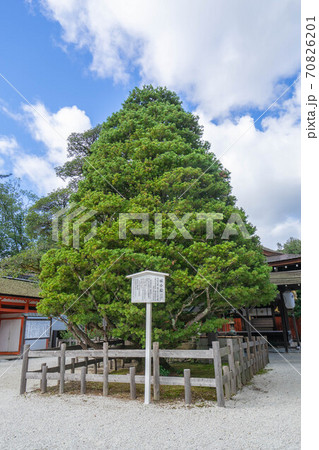 下鴨神社 70826201