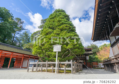 下鴨神社 70826202