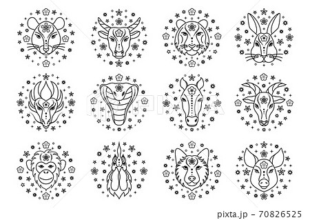 Chinese zodiac signs on white Chinese zodiac signs on white 70826525