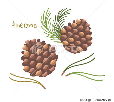 松ぼっくりと松の葉のイラストのイラスト素材 松ぼっくりと松の葉のイラストのイラスト素材