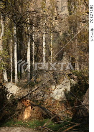 Beautiful nature of Ihlara valley. Beautiful nature of Ihlara valley. 70827199
