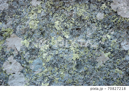 Rock fungus texture. Rock fungus texture. 70827218