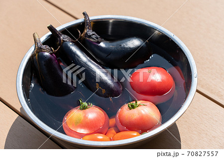 収穫した夏野菜 水を張ったボウルで冷やす (7月) 家庭菜園 収穫した夏野菜 水を張ったボウルで冷やす (7月) 家庭菜園 70827557